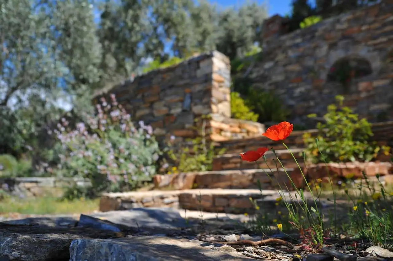 landscaping with a flower and stone wall in the background