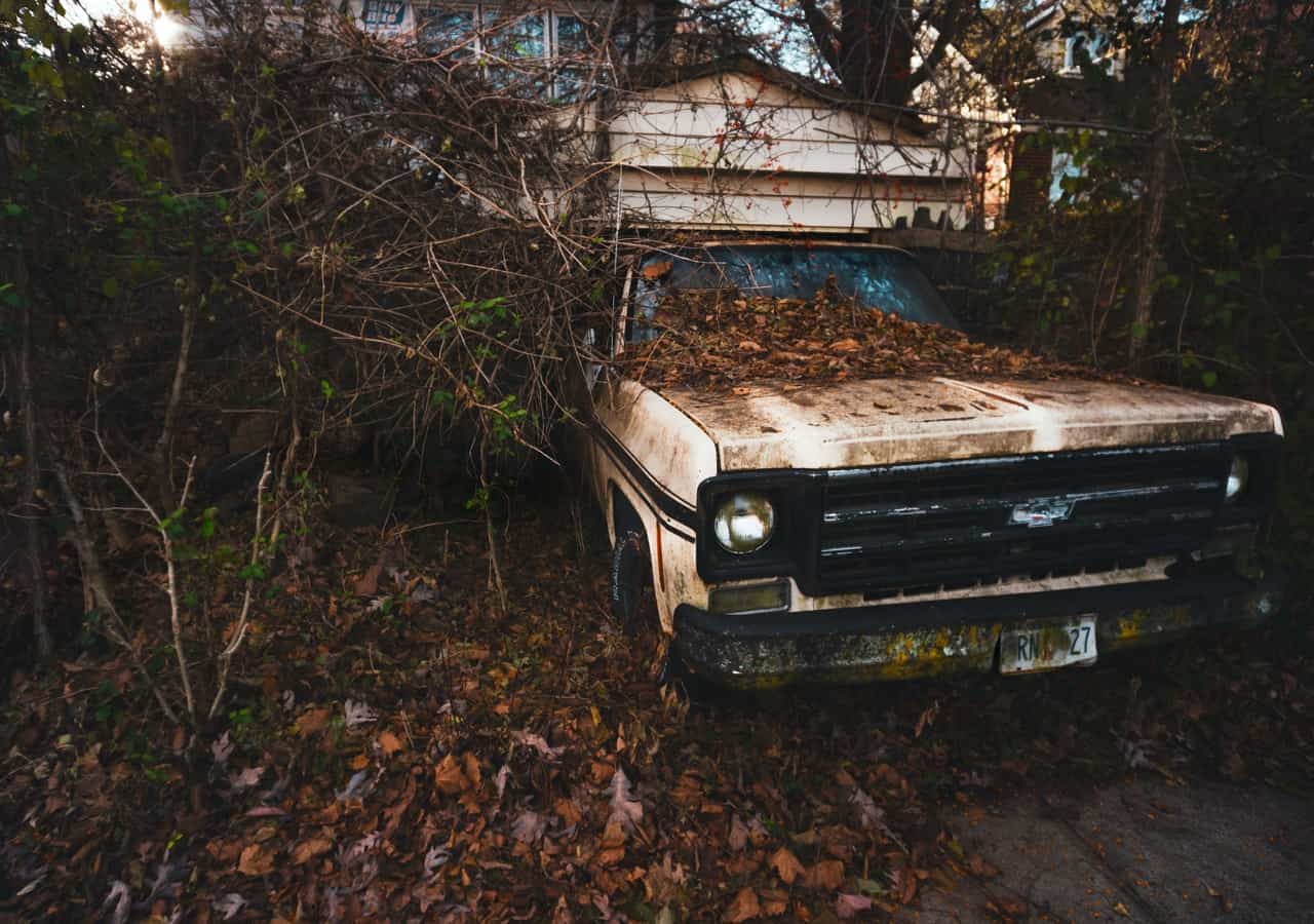 old rusted out car covered in vines